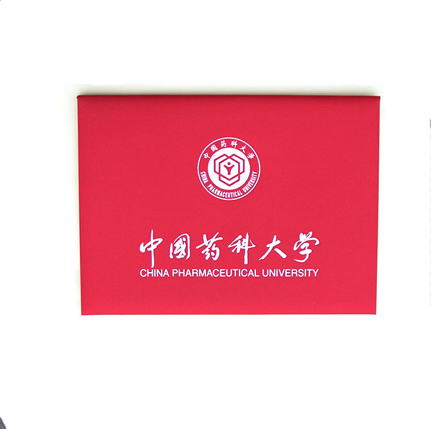 毕业证书13