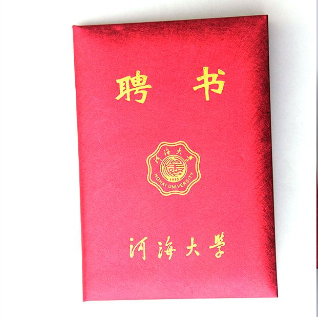 荣誉证书 (2)