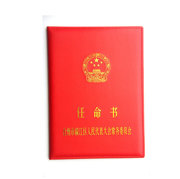 荣誉证书 (7)