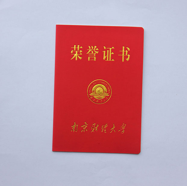 荣誉证书 (8)
