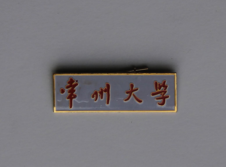徽章06